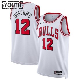 Chicago Bulls Ayo Dosunmu 12 Nike 2022-23 Association Edition Valkoinen Lasten Pelipaidat Swingman